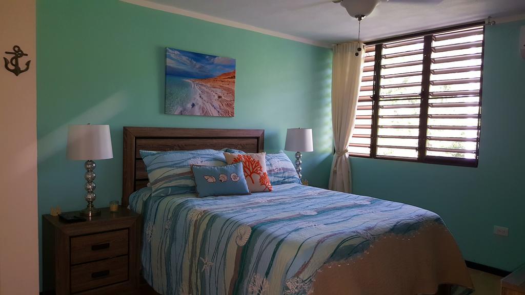 Fully Air-Conditioned Beach Front Penthouse Apartment Naguabo Zewnętrze zdjęcie