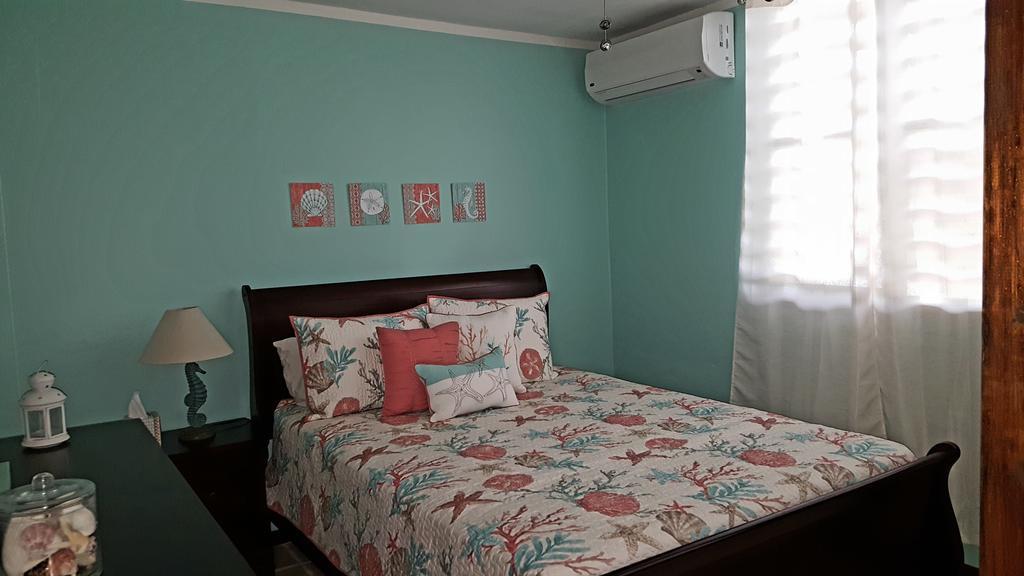 Fully Air-Conditioned Beach Front Penthouse Apartment Naguabo Zewnętrze zdjęcie